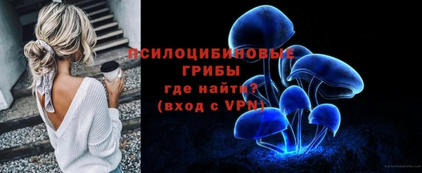 мдма Богданович