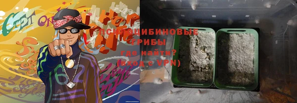мдма Богданович